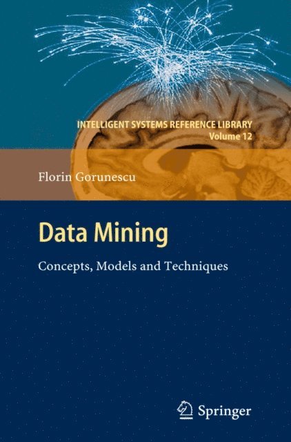 Florin Gorunescu - Data Mining, E-bok