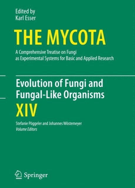 Johannes Wostemeyer, Stefanie Poggeler - Evolution of Fungi and Fungal-Like Organisms, E-bok