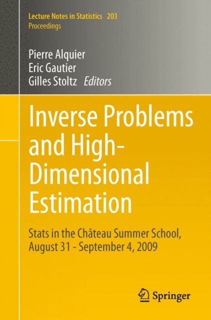 Gilles Stoltz, Eric Gautier, Pierre Alquier - Inverse Problems and High-Dimensional Estimation, E-bok