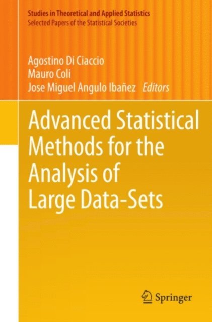 Jose Miguel Angulo Ibanez, Mauro Coli, Agostino Di Ciaccio - Advanced Statistical Methods for the Analysis of Large Data-Sets, E-bok