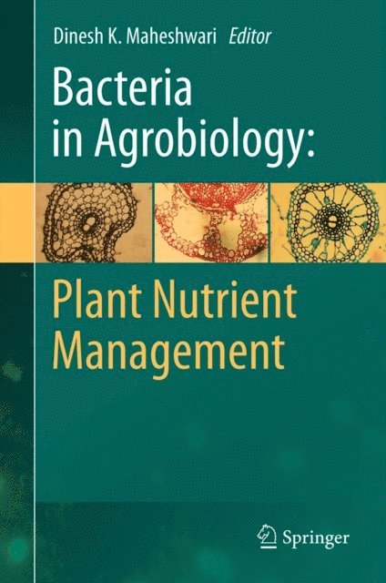 Dinesh K. Maheshwari - Bacteria in Agrobiology: Plant Nutrient Management, E-bok