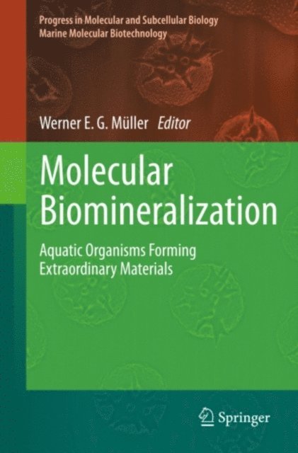 Werner E. G. Muller - Molecular Biomineralization, E-bok
