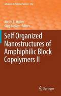 Self Organized Nanostructures of Amphiphilic Block Copolymers II