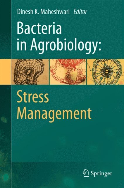 Dinesh K. Maheshwari - Bacteria in Agrobiology: Stress Management, E-bok