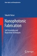 Nanophotonic Fabrication