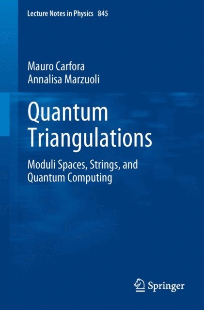 Annalisa Marzuoli, Mauro Carfora - Quantum Triangulations, E-bok