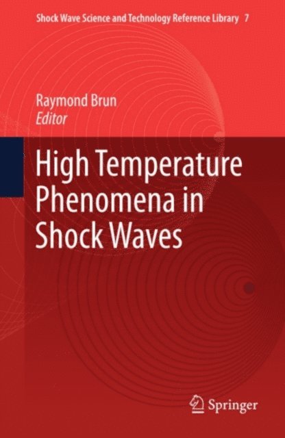 Raymond Brun - High Temperature Phenomena in Shock Waves, E-bok