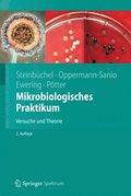 Mikrobiologisches Praktikum
