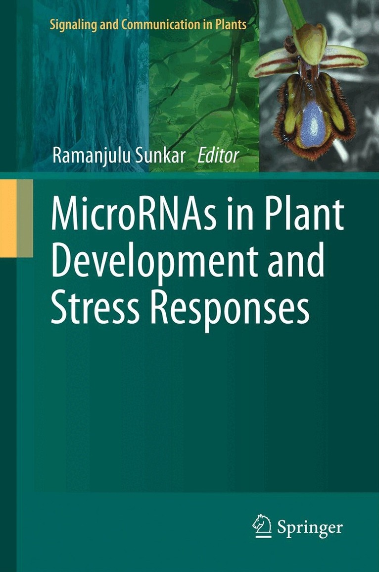 Ramanjulu Sunkar - MicroRNAs in Plant Development and Stress Responses, Inbunden