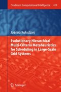 Evolutionary Hierarchical Multi-Criteria Metaheuristics for Scheduling in Large-Scale Grid Systems