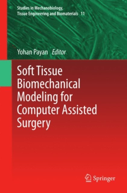 Yohan Payan - Soft Tissue Biomechanical Modeling for Computer Assisted Surgery, E-bok