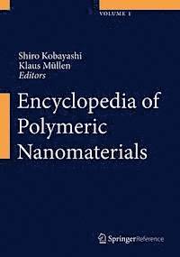 Klaus Mullen, Shiro Kobayashi - Encyclopedia of Polymeric Nanomaterials, E-bok