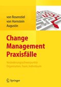 Change Management Praxisfÿlle
