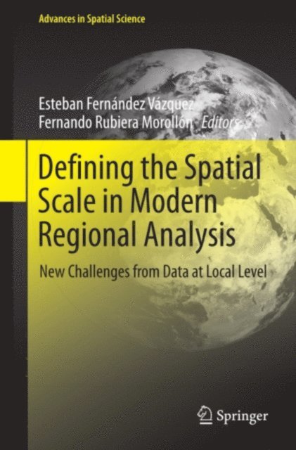 Fernando Rubiera Morollon, Esteban Fernandez Vazquez - Defining the Spatial Scale in Modern Regional Analysis, E-bok