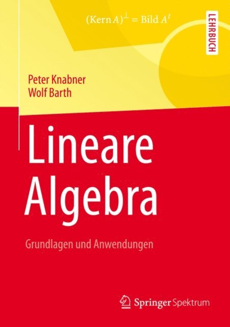 Wolf Barth, Peter Knabner - Lineare Algebra, E-bok