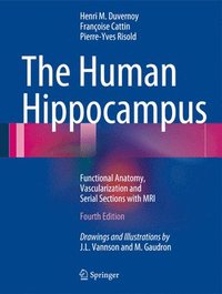 Human Hippocampus