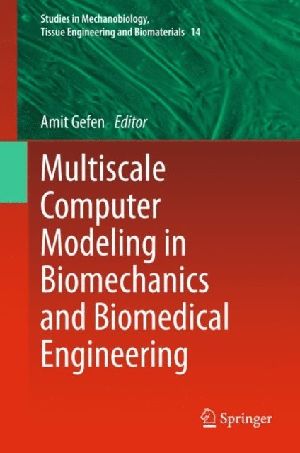 Amit Gefen - Multiscale Computer Modeling in Biomechanics and Biomedical Engineering, E-bok