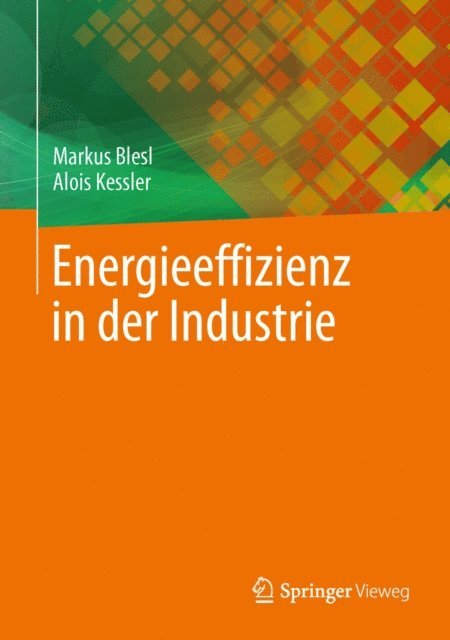 Alois Kessler, Markus Blesl - Energieeffizienz in der Industrie, E-bok