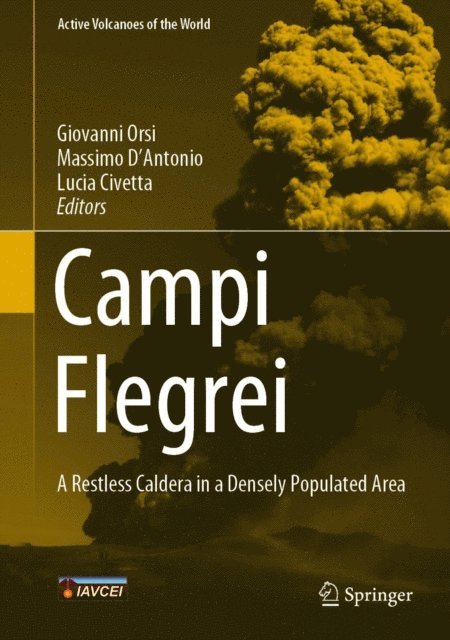 Lucia Civetta, Massimo D'Antonio, Giovanni Orsi - Campi Flegrei, E-bok