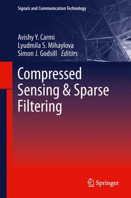 Simon J. Godsill, Lyudmila Mihaylova, Avishy Y. Carmi - Compressed Sensing & Sparse Filtering, E-bok