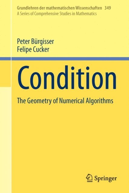 Felipe Cucker, Peter Burgisser - Condition, E-bok