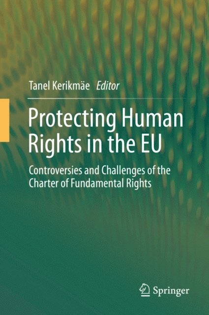 Tanel Kerikmae - Protecting Human Rights in the EU, E-bok