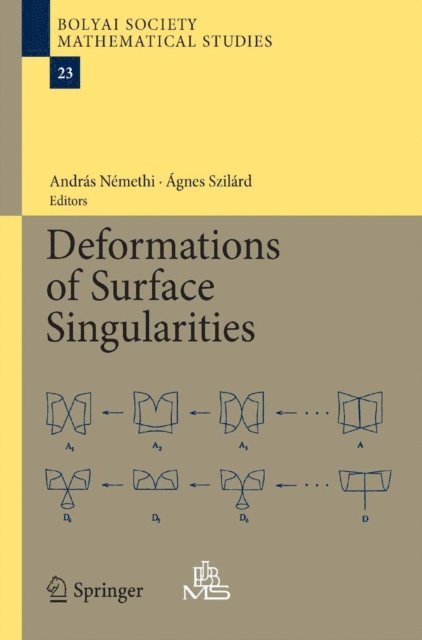 Agnes Szilard, Andras Nemethi - Deformations of Surface Singularities, E-bok