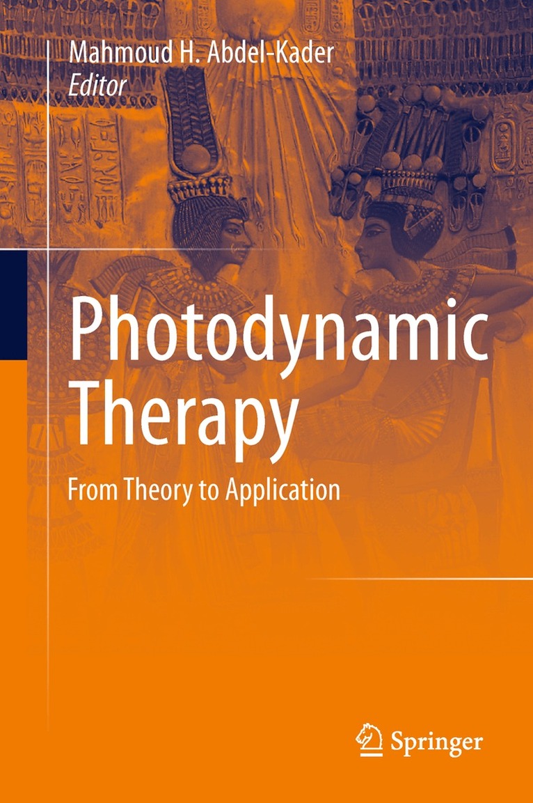 Mahmoud H. Abdel-Kader - Photodynamic Therapy, Inbunden