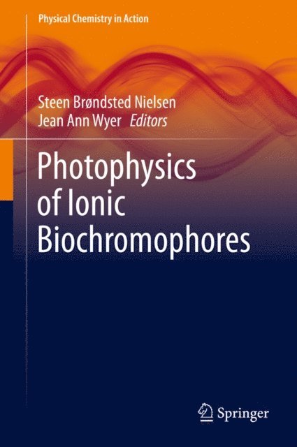 Jean Ann Wyer, Steen Brondsted Nielsen - Photophysics of Ionic Biochromophores, E-bok