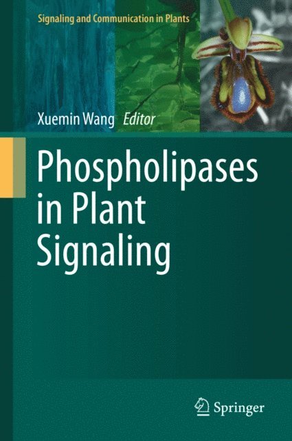 Xuemin Wang - Phospholipases in Plant Signaling, E-bok