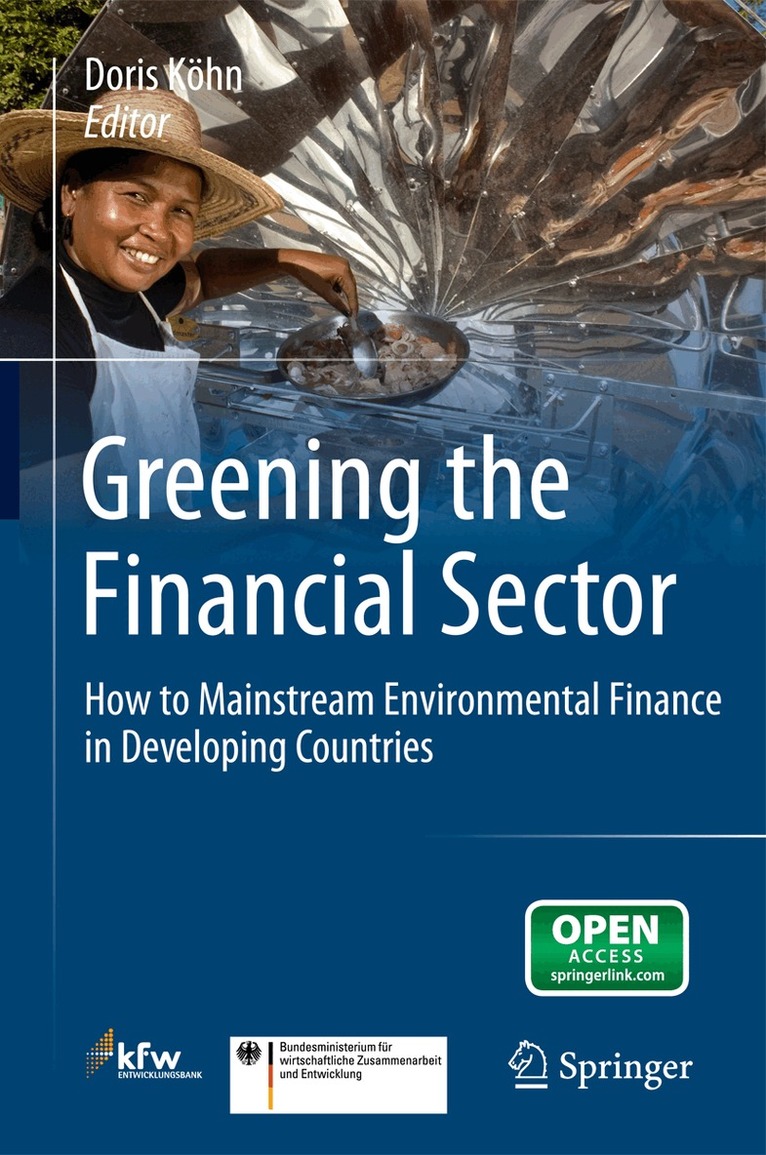 Doris Köhn - Greening the Financial Sector, Häftad. Tillgänglighet: Lägg i varukorg
