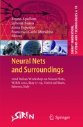 Neural Nets and Surroundings