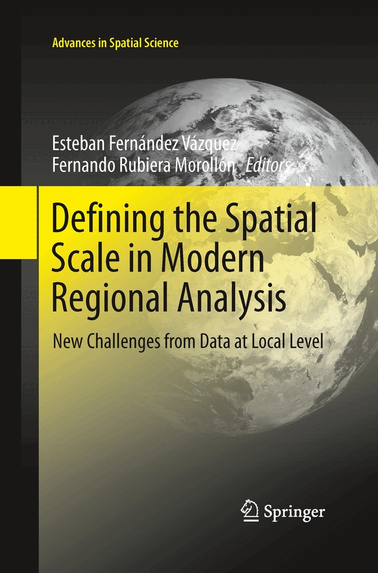 Esteban Fernández Vázquez, Fernando Rubiera Morollón - Defining the Spatial Scale in Modern Regional Analysis, Häftad