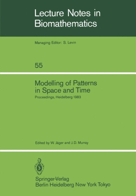 J.D. Murray, W. Jager - Modelling of Patterns in Space and Time, E-bok