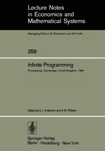 Andrew B. Philpott, Edward J. Anderson - Infinite Programming, E-bok