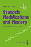 Synaptic Modifications and Memory