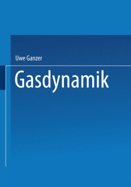 Uwe Ganzer - Gasdynamik, E-bok