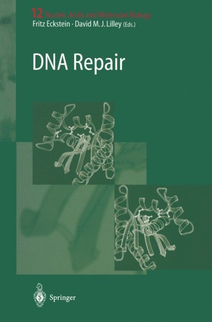 David M.J. Lilley, Fritz Eckstein - DNA Repair, E-bok