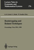 Bootstrapping and Related Techniques