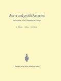 Aorta und groÿe Arterien