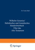 Hebrÿisches und Aramÿisches Handwörterbuch über das Alte Testament