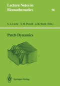 Patch Dynamics