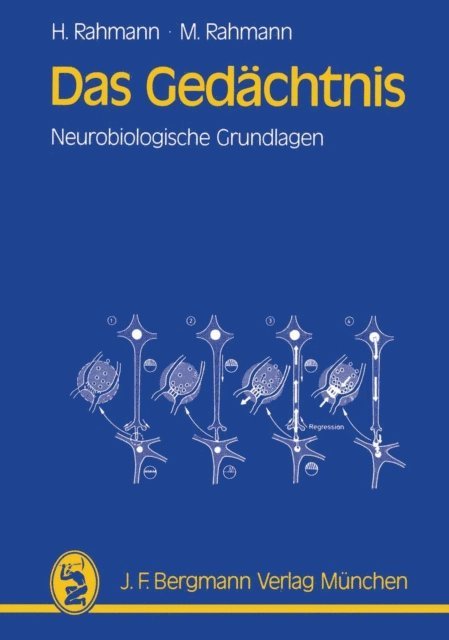 Mathilde Rahmann, Hinrich Rahmann - Das Gedächtnis, E-bok