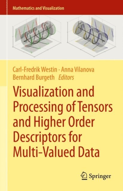 Bernhard Burgeth, Anna Vilanova, Carl-Fredrik Westin - Visualization and Processing of Tensors and Higher Order Descriptors for Multi-Valued Data, E-bok