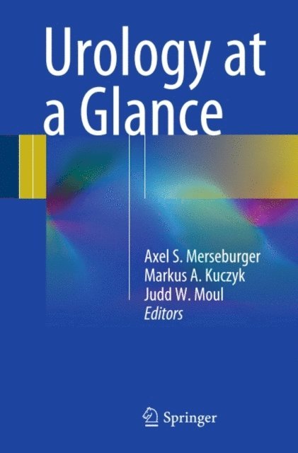 Judd W. Moul, Markus A. Kuczyk, Axel S. Merseburger - Urology at a Glance, E-bok
