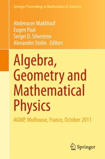 Alexander Stolin, Sergei D. Silvestrov, Eugen Paal, Abdenacer Makhlouf - Algebra, Geometry and Mathematical Physics, E-bok
