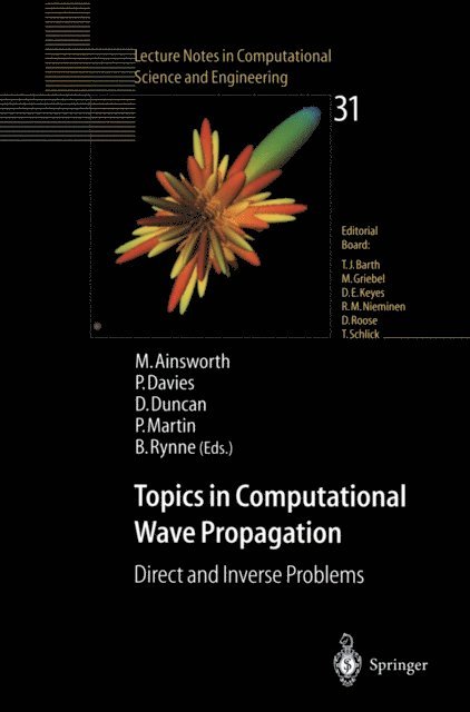 Bryan Rynne, Paul A Martin, Dugald B. Duncan, Penny Davies, Mark Ainsworth - Topics in Computational Wave Propagation, E-bok