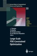 Large-Scale PDE-Constrained Optimization
