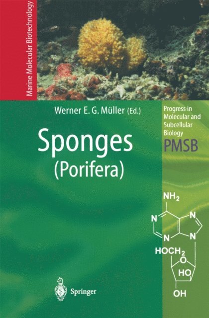 Werner E. G. Muller - Sponges (Porifera), E-bok