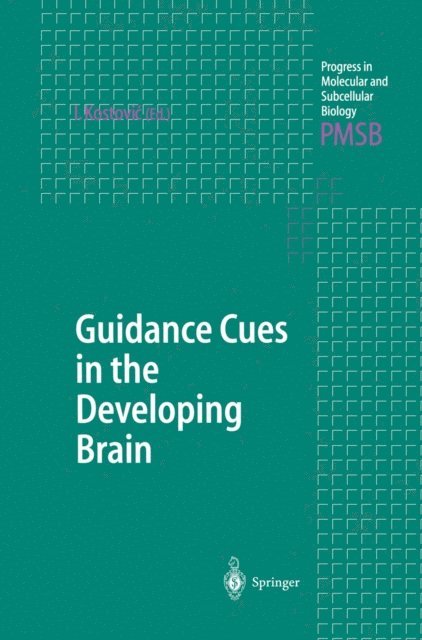 Ivica Kostovic - Guidance Cues in the Developing Brain, E-bok